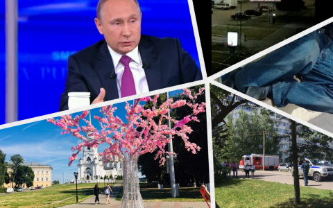 Владимир за день: сакура, эвакуация Сбербанка и забавные сообщения Путину