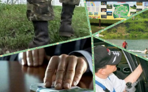 Владимир за день: проворный уклонист, невнимательная бабушка и взятки