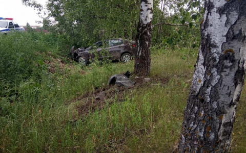 5 человек погибли на дорогах региона за неделю