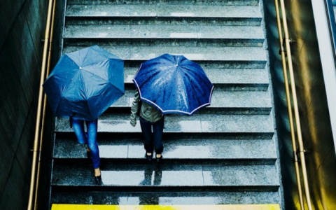 Температурный рекорд. Вновь сюрпризы от погоды. Всё печально