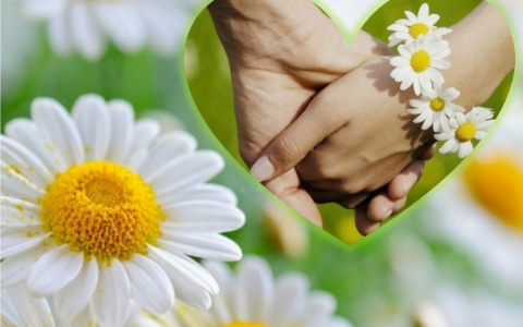 Личная история: владимирцы могут рассказать о самой крепкой и дружной семье