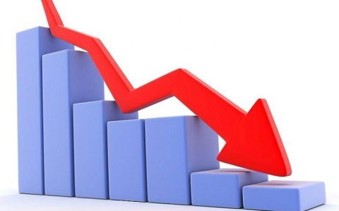 Владимирцы стали меньше рожать и больше учиться