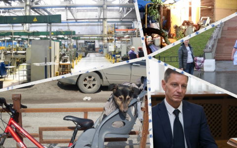 Владимир за день: пикетчики из Оргтруда, террористы и кража года