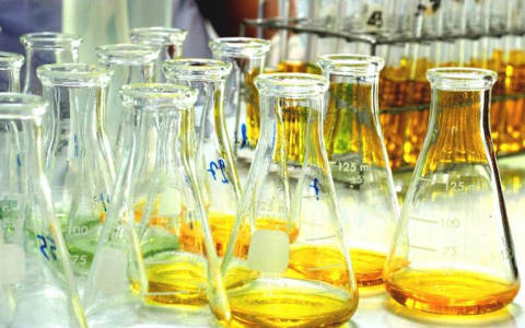 В 33 регионе граждане Украины организовали нарколабораторию