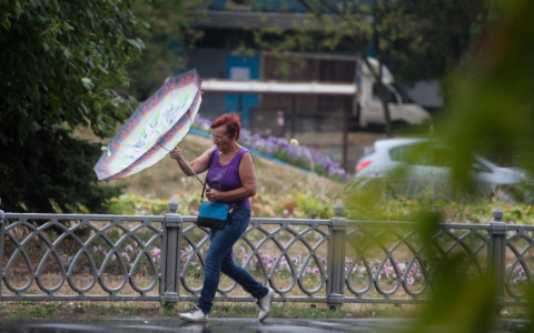 Главный синоптик страны рассказал, когда во Владимир вернется лето