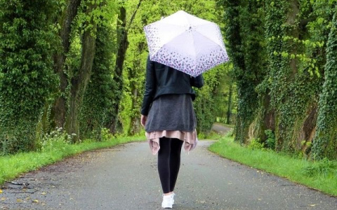 Погода во Владимире и области на 6 июля