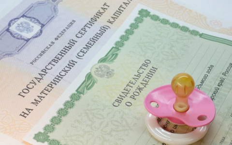 Материнский капитал: стало известно на что его тратят владимирцы
