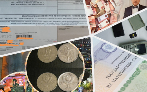 Владимир за день: необычные коллекции, Forbes и слепой птенец