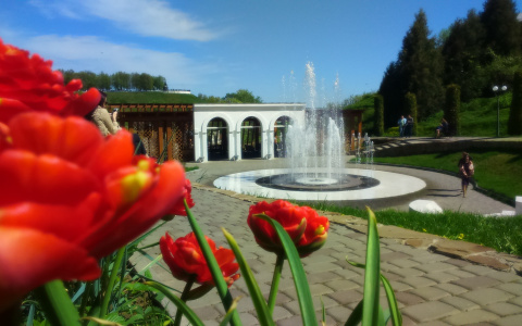 Итоги голосования за первого участника конкурса "День из жизни Владимира"