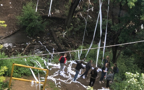 Владимирские дети украсили деревья туалетной бумагой