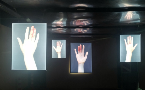 "Бомба" на скандальной выставке - проект "Смородина"