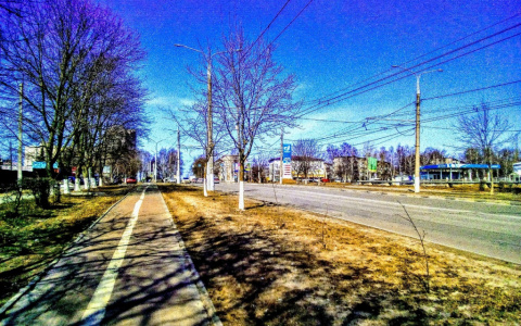 Итоги голосования за третьего участника фотоконкурса "День из жизни Владимира"