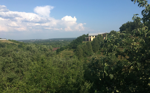 Погода во Владимире и области на 16 июля