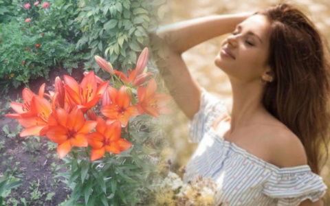 Владимирское утро: золотое поле, мечты о море и утренняя философия