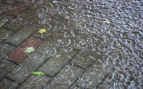 Погода во Владимире и области на 18 июля