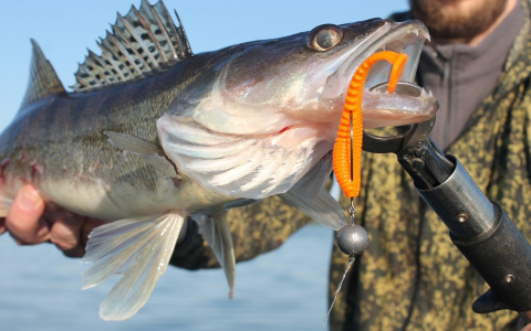 Владимирские рыбаки рассказали, где лучше улов