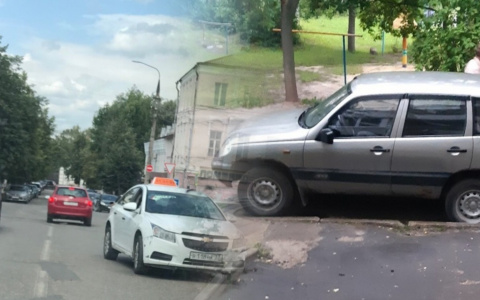 Жалобы владимирцев за неделю: наглые таксисты, собаки и бахилы