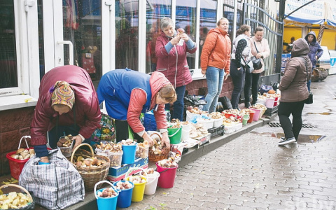 Грибной бум продолжается. Рынки ломятся от грибов