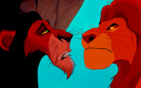 Владимир за неделю: грибной бум, щётка с героином и «Король Лев»