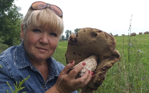 Горожанка обнаружила гриб-гигант