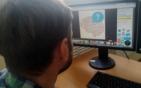 Тест дня: думаете, что все знаете о мозге? Мы вас удивим!