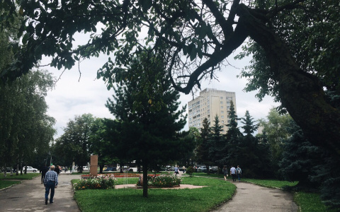 Синоптики составили прогноз на 26 июля: жара или дожди?