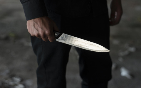 Владимирца, зарезавшего двух мужчин из-за замечания, будут судить