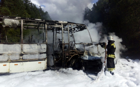 ДТП с автобусом в Селивановском районе: 6 раненых и 1 погибший