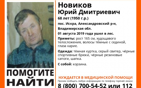 Владимирцев просят помощи в поисках мужчины с корзинкой