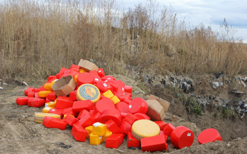 139 килограмм санкционного сыра уничтожили под Владимиром