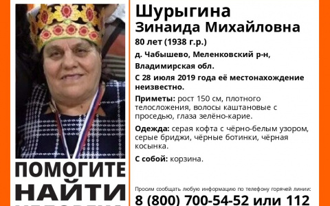 Владимирцев просят помощи в поисках бабушки с корзинкой