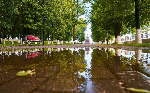 Дождь или жара: чего ждать от природы завтра?