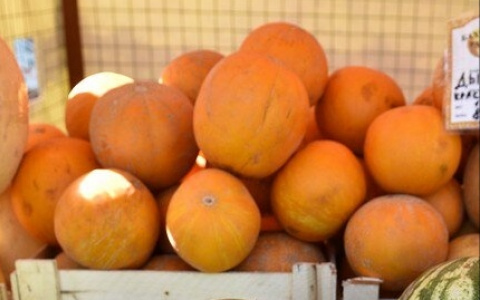 Признаки полезной дыни: как не ошибиться в выборе