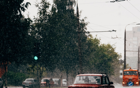 Будут ли выходные теплыми и солнечными? Ответ синоптиков