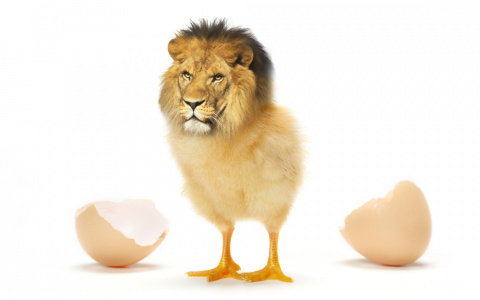 Хотите стать самым известным владимирцем? С "PRO Город" это возможно!