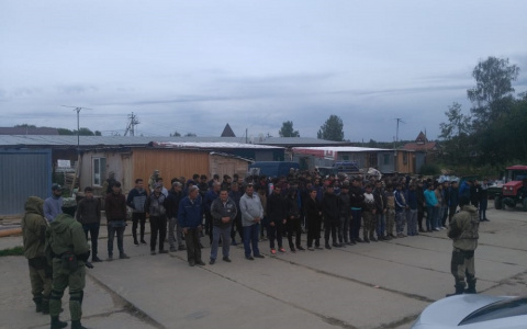 Более 120 мигрантов задержаны в Александровском районе