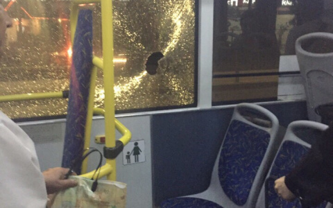 "Стекла в волосах и во рту": хулиганы "расстреляли" автобус с пассажирами