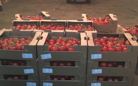 Во Владимирской области уничтожили 837 кг томатов неизвестного происхождения