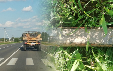 «Пункт назначения»: бревно из лесовоза выпало в ехавшую за ним машину