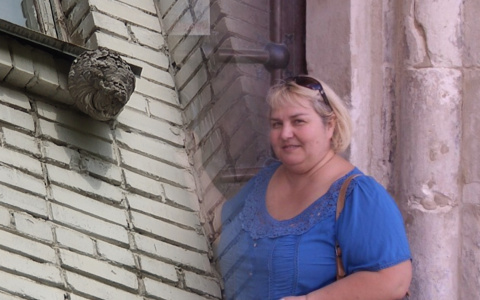 Почти что в школе: на оконной раме образовательного учреждения поселились осы