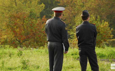 Вырубили лес. Ущерб — более 1,5 миллиона рублей!