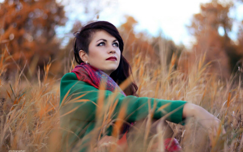 Тест дня: из чего состоит ваша личность?