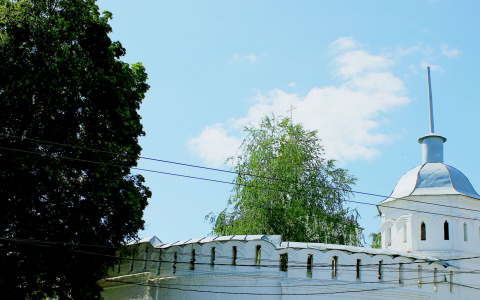 Погода на 28 августа: будут ли осадки?