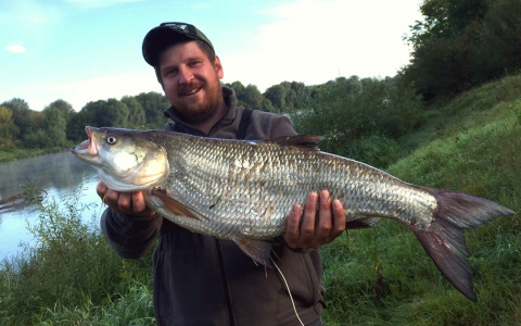 Владимирский рыбак поймал в Клязьме пятикилограммового хищника