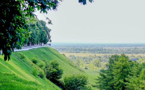 Какая погода ждет владимирцев в пятницу?