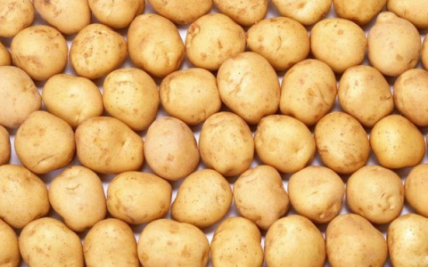 Опасность жареной картошки: что нужно знать владимирцам?