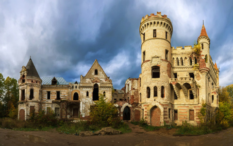 День охотника в Муромцево: парад собак и судогодские потешки