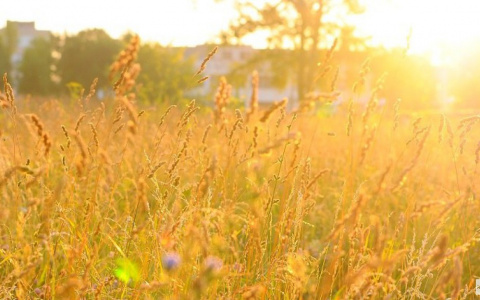 Синоптики прогнозируют аномальную жару в сентябре