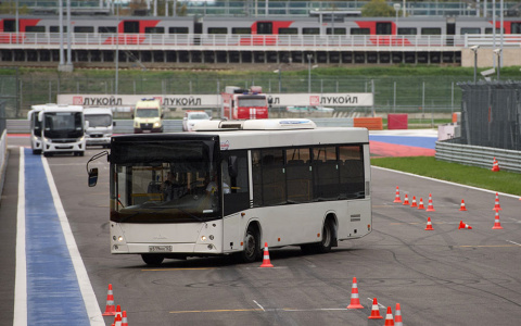 "ПрофиАвто2019": кто получит звание лучшего водителя?