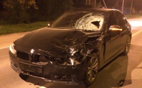 Трагедия в Мелехово: за смерть двух подростков водителю BMW грозит 7 лет